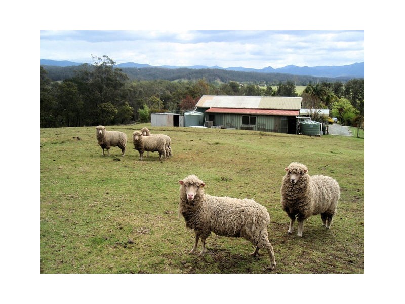 81 Wamban Road, Moruya NSW 2537
