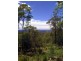 315 Pollwombra Road, Moruya NSW 2537