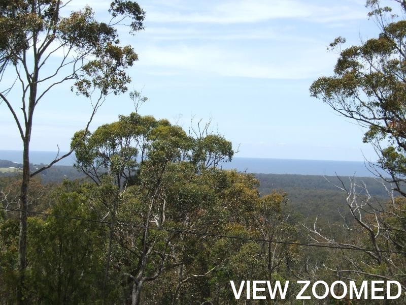315 Pollwombra Road, Moruya NSW 2537