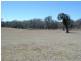 52 Congo Road, Moruya NSW 2537