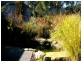 396  Wamban Road, Moruya NSW 2537