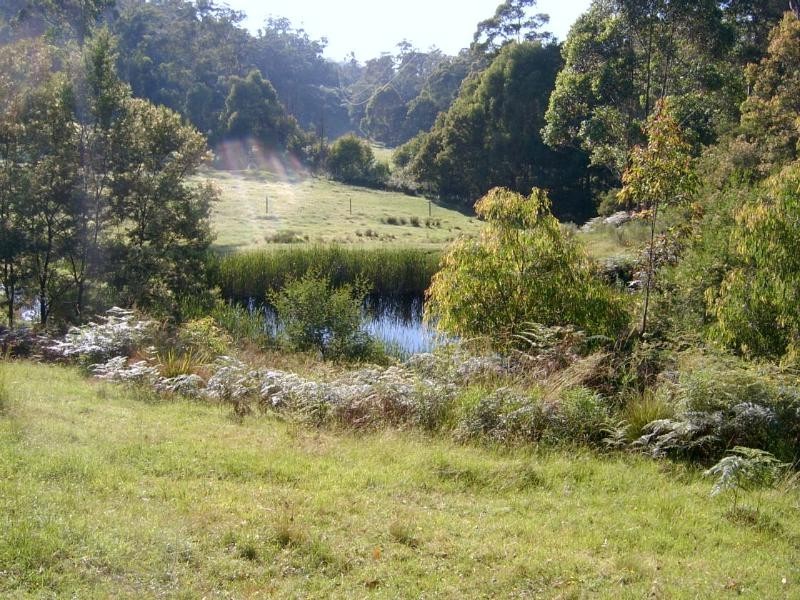 172 North Bumbo Fire Trail, Turlinjah NSW 2537