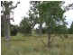 Lot 6 Pear Tree Place, Moruya NSW 2537