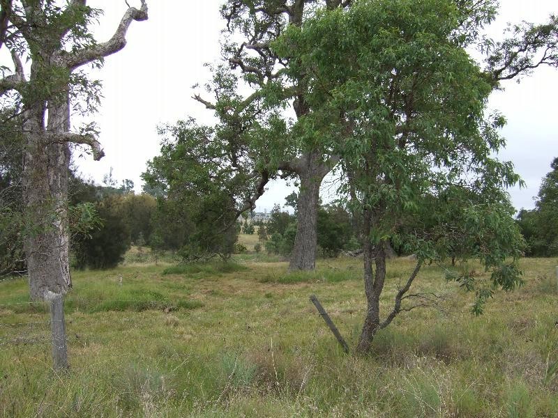 Lot 6 Pear Tree Place, Moruya NSW 2537