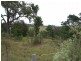 Lot 6 Pear Tree Place, Moruya NSW 2537