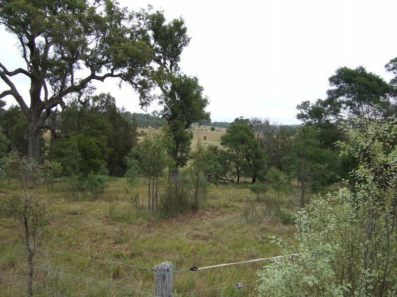 Lot 6 Pear Tree Place, Moruya NSW 2537