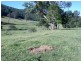 324 Clouts Road, Moruya NSW 2537