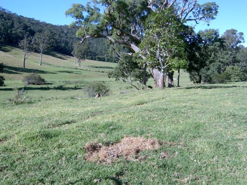 324 Clouts Road, Moruya NSW 2537