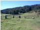 324 Clouts Road, Moruya NSW 2537