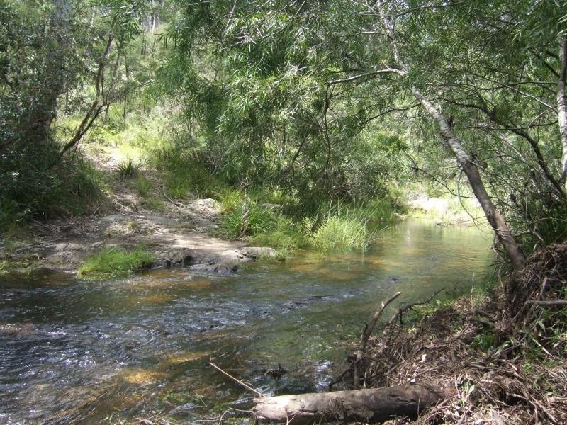 484 Larry’s Mountain Rd, Mogendoura NSW 2537