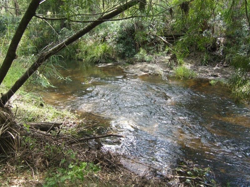 484 Larry’s Mountain Rd, Mogendoura NSW 2537