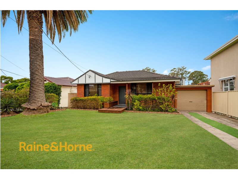 20 Elliott Street, Kingswood NSW 2747