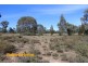 Koorawatha NSW 2807