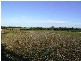 Lot 2 Glenellan Road, Jindera NSW 2642