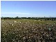 Lot 2 Glenellan Road, Jindera NSW 2642