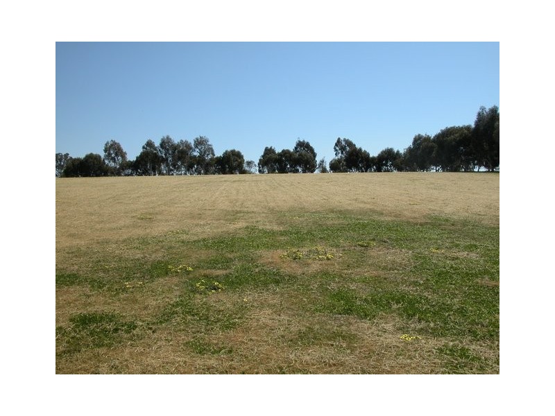 41 Sarah Street, Gerogery NSW 2642