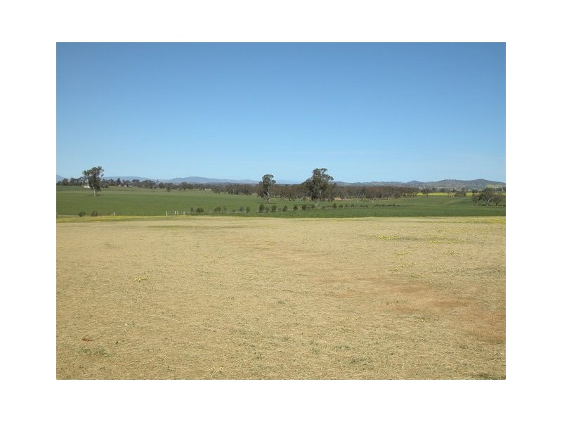 41 Sarah Street, Gerogery NSW 2642