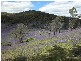 Lot 11 Ferndale Road, Woomargama NSW 2644