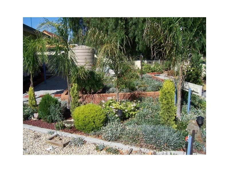 7A Kavanagh Street, Balldale NSW 2646