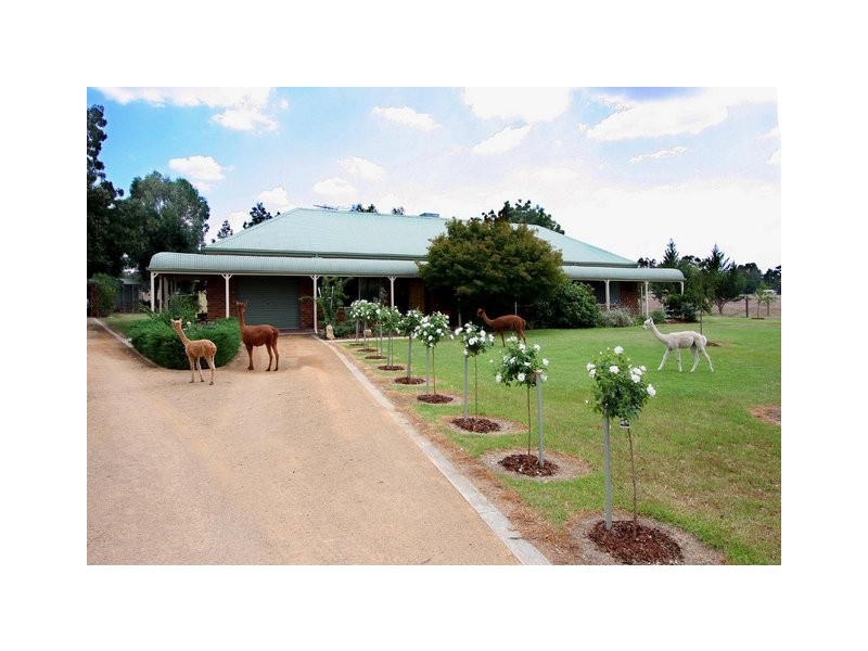 29 Brownrigg Street, Morven NSW 2370