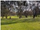 122 Adams Street, Jindera NSW 2642