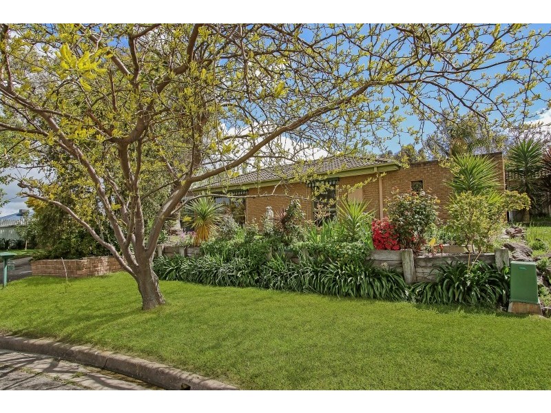 14 Dimbanna Court, Lavington NSW 2641