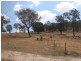 Lot 2-4 Jelbart Rd, Jindera NSW 2642