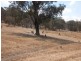Lot 2-4 Jelbart Rd, Jindera NSW 2642