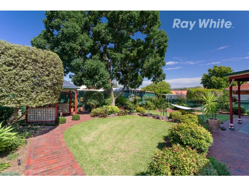 20 Renwick Court, Lavington NSW 2641