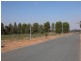 Lt 1,3,5   Jacob Lane, Burrumbuttock NSW 2642