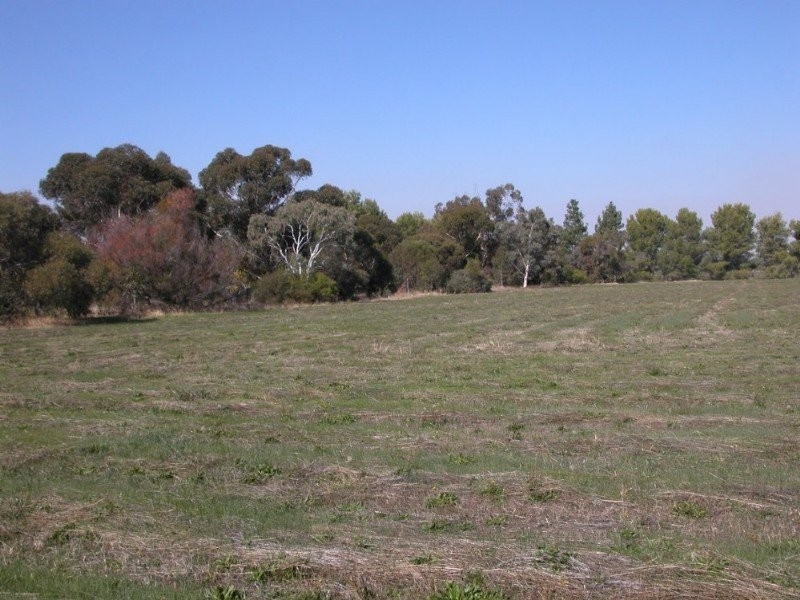 Lt 1,3,5   Jacob Lane, Burrumbuttock NSW 2642