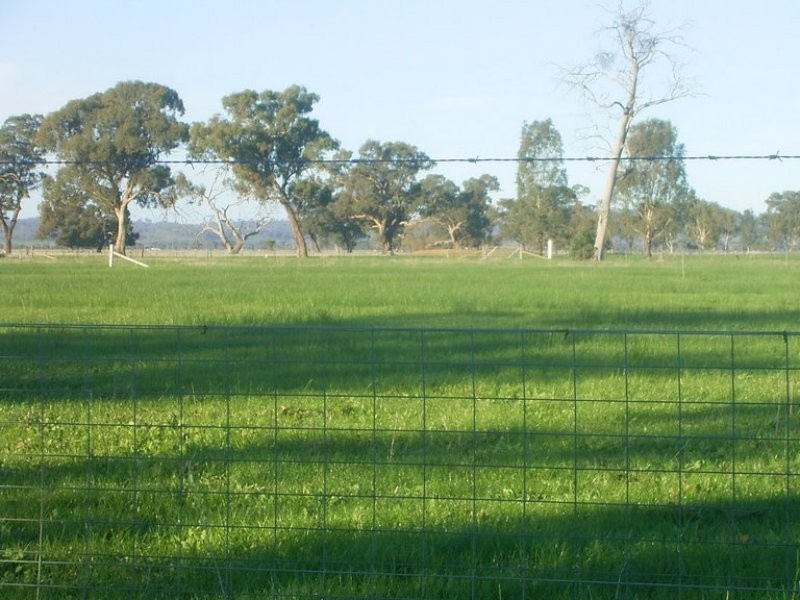 62-70 Wilson Street, Howlong NSW 2643