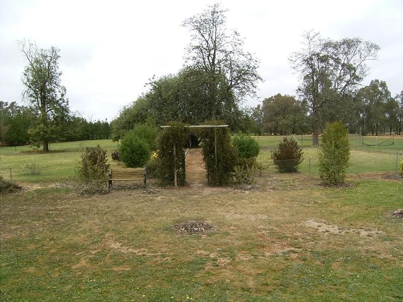 1 Hoffmans Rd, Walla Walla NSW 2659