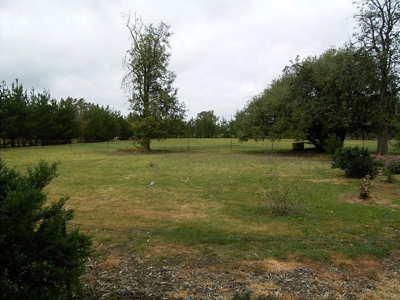 1 Hoffmans Rd, Walla Walla NSW 2659