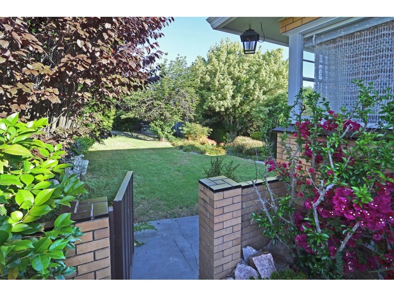 368 Eden Street, Lavington NSW 2641