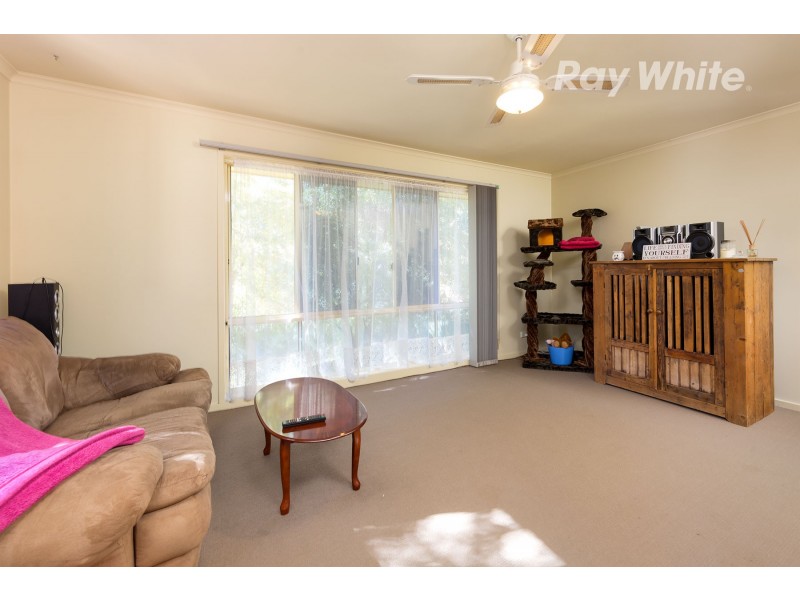 1and2/21 Panorama Place, Hamilton Valley NSW 2641