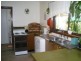 536 Webb Street, Lavington NSW 2641