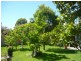 536 Webb Street, Lavington NSW 2641