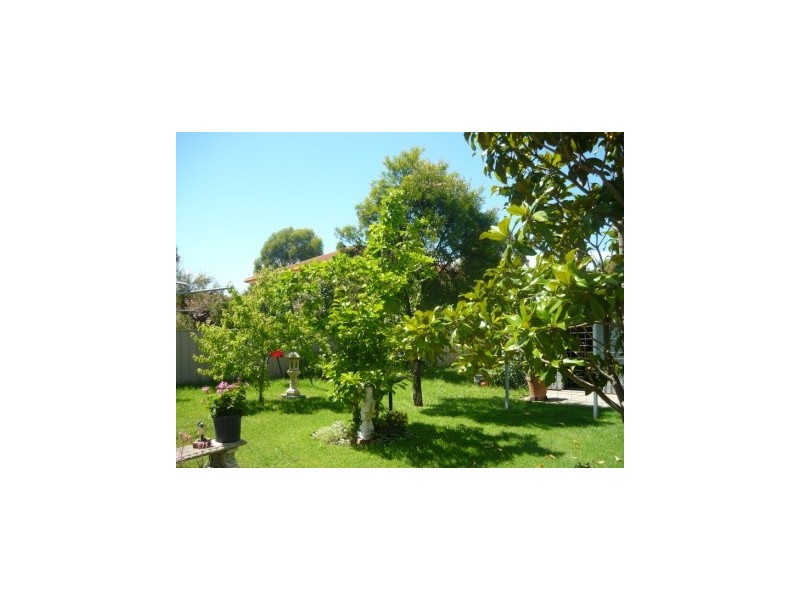 536 Webb Street, Lavington NSW 2641