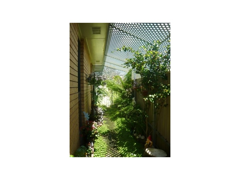 536 Webb Street, Lavington NSW 2641