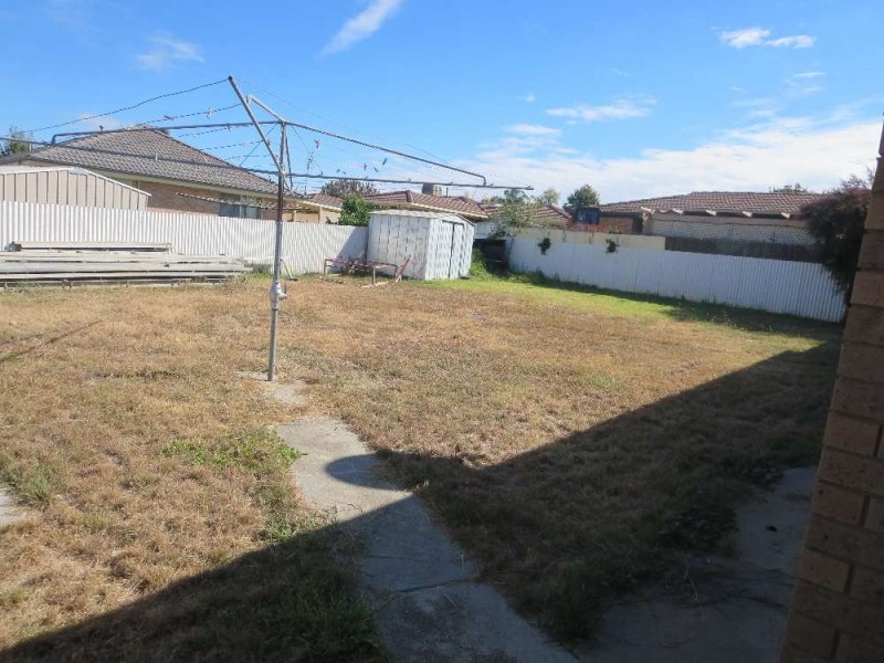 517 Nagle Road, Lavington NSW 2641