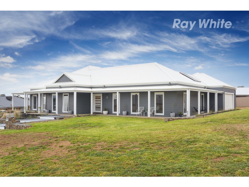 2 Regent Street, Ettamogah Rise, Springdale Heights NSW 2641