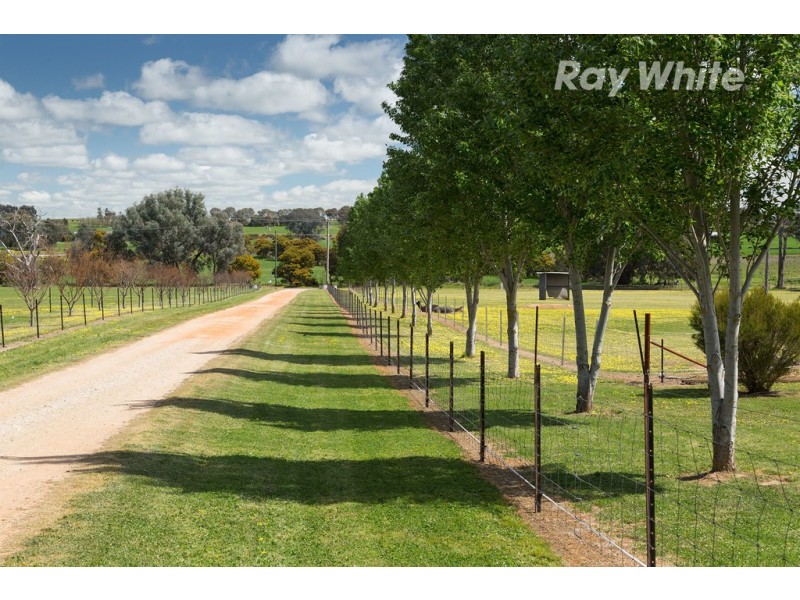 508 Burma Road, Table Top NSW 2640