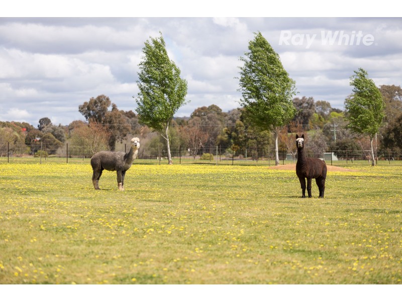 508 Burma Road, Table Top NSW 2640