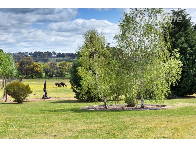 508 Burma Road, Table Top NSW 2640