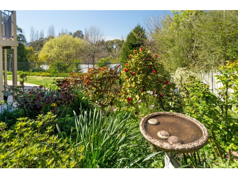 86 Michelle Avenue, Lavington NSW 2641