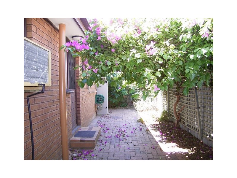 6/384 Kaylock Road, Lavington NSW 2641