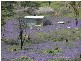 Lot 11 Ferndale Road, Woomargama NSW 2644