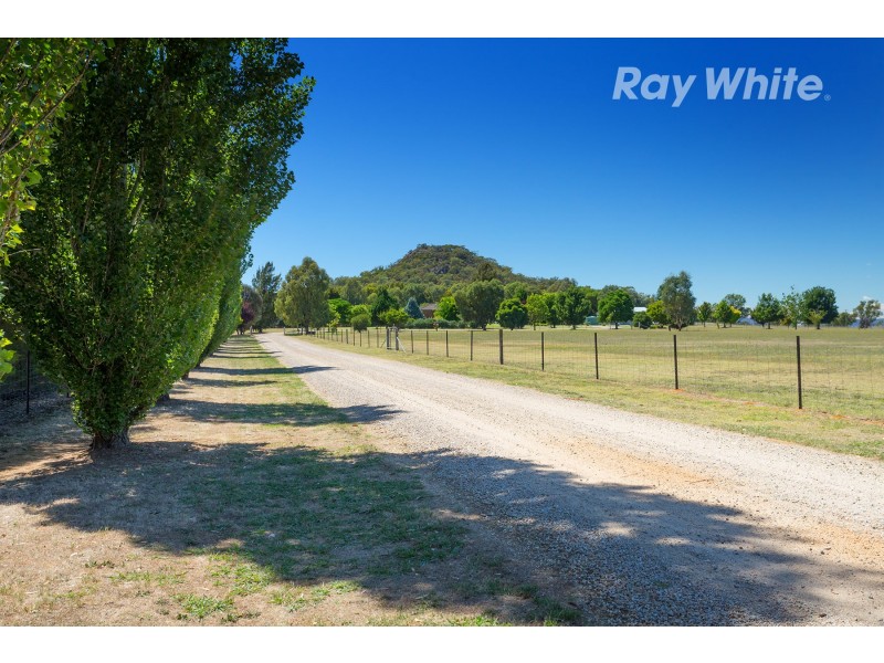 389 Burma Road, Table Top NSW 2640