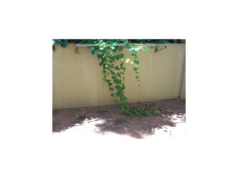 3/750 Macauley Street, Albury NSW 2640